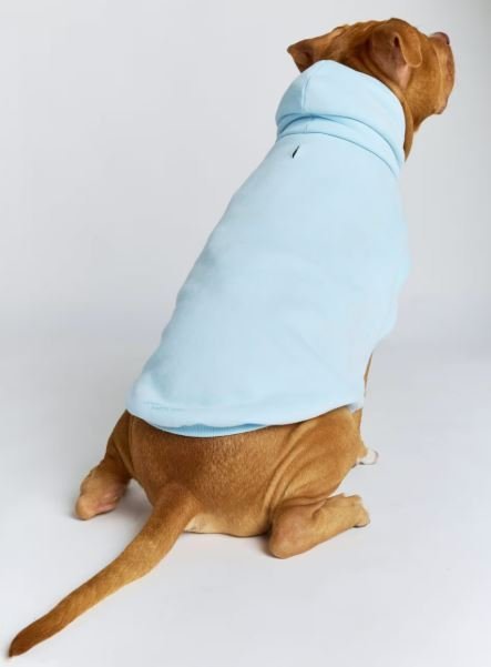 Buy Authentic Pastel Paw Hoodie Luxury Streetwear Online