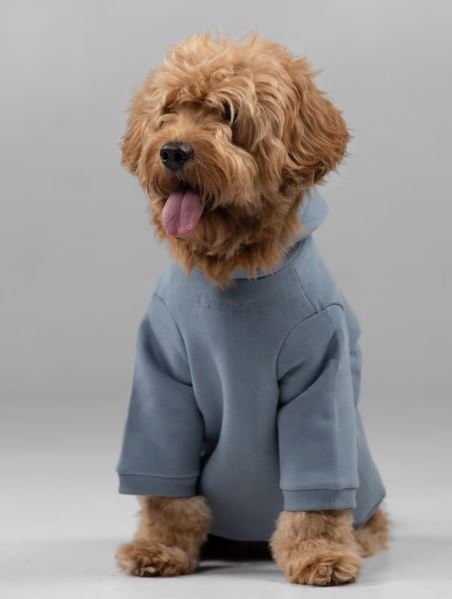 Buy Authentic Signature Paw Hoodie Luxury Streetwear Online